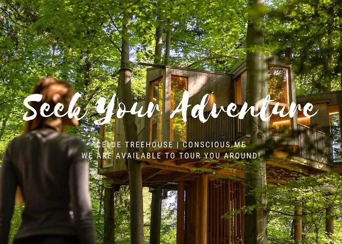 Road View Celeia Celje